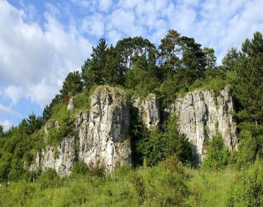 http://reikartztravel.com/uploads/posmotret/id45/medobory017.jpg